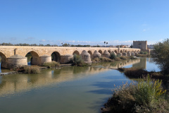 PXL_20241204_120018402