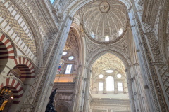 PXL_20241204_131800595