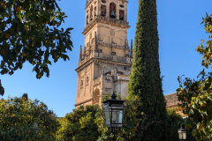 PXL_20241204_140139186