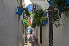 PXL_20241204_141715791