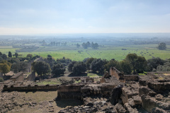 PXL_20241205_110745844