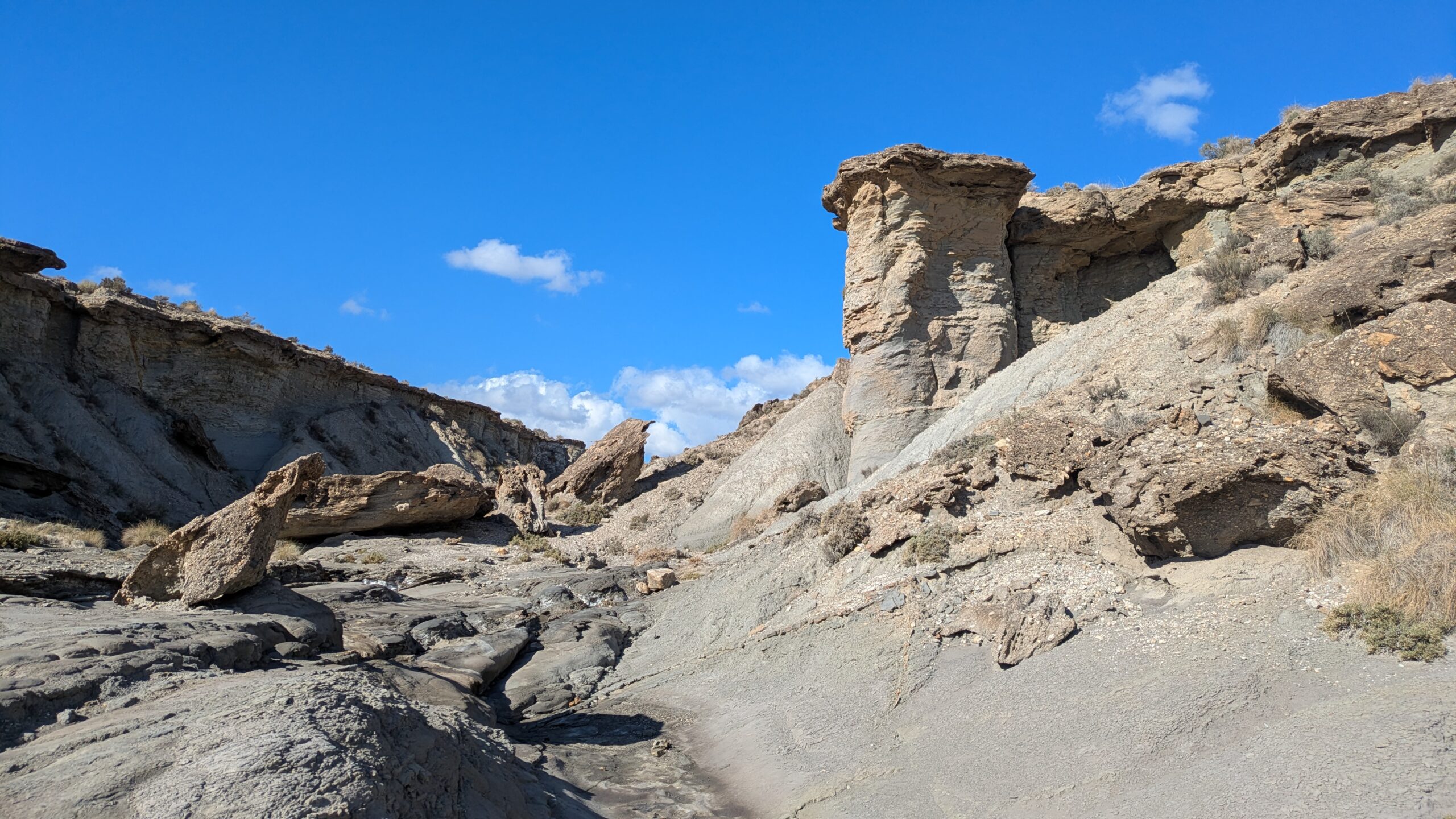 The Tabernas Desert